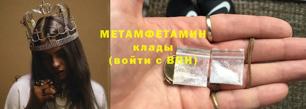 прущие грибы Протвино
