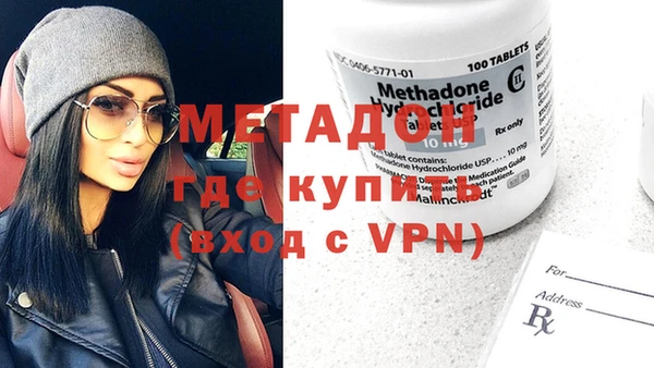 прущие грибы Протвино